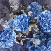 Hydrangea Mist flat