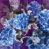 Hydrangea ultra violet flat